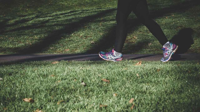Walking alone will not prevent weight gain, does have emotional and health benefits: study Walking alone will not prevent weight gain, does have emotional and health benefits: study