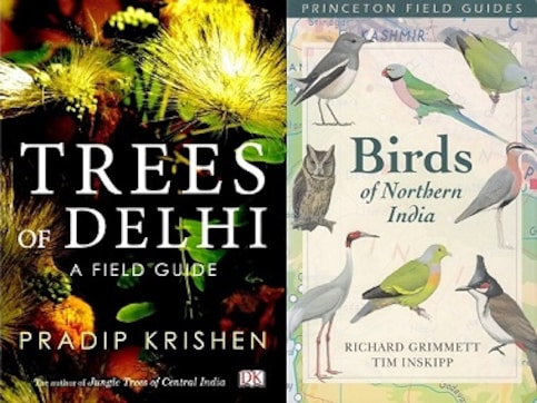 A field guide to field guides: Be it a title on birds or trees, for nature enthusiasts there are few tomes as useful A field guide to field guides: Be it a title on birds or trees, for nature enthusiasts there are few tomes as useful