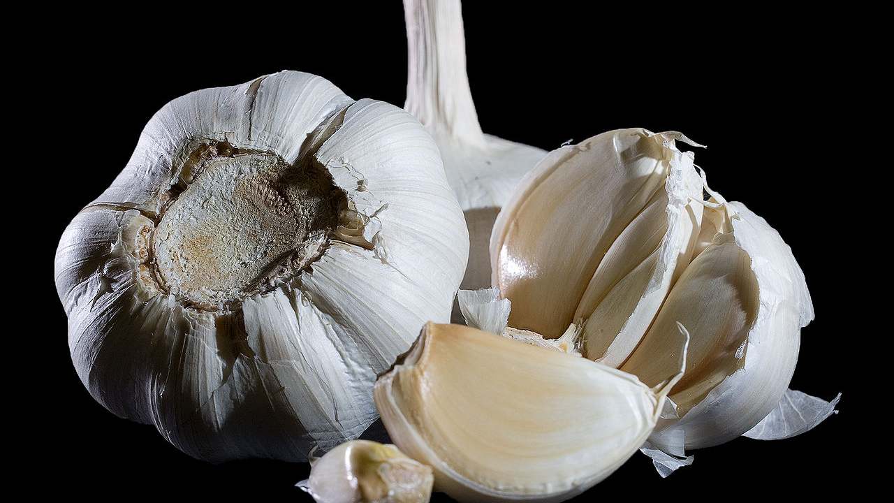Eating garlic wont keep the virus away but it will help in social distancing. Image credit: Wikipedia