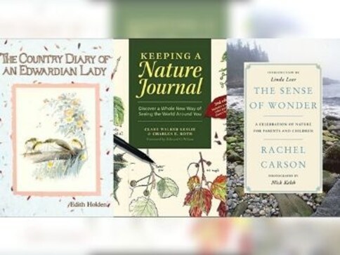 In times of climate crisis, why nature-journalling can be a simple, yet potent tool to build intimacy with nature In times of climate crisis, why nature-journalling can be a simple, yet potent tool to build intimacy with nature