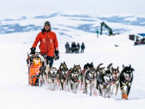 Norwegian musher Thomas Waerner wins Iditarod Trail Sled Dog Race on second attempt Norwegian musher Thomas Waerner wins Iditarod Trail Sled Dog Race on second attempt