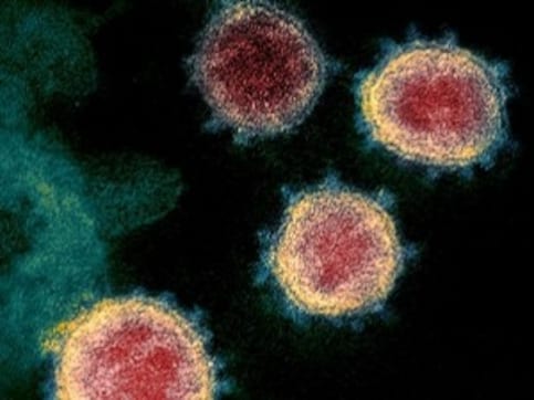Coronavirus Outbreak: Italy sees rise in toll by 662 in 24 hours, taking total number of deaths to 8,165 Coronavirus Outbreak: Italy sees rise in toll by 662 in 24 hours, taking total number of deaths to 8,165