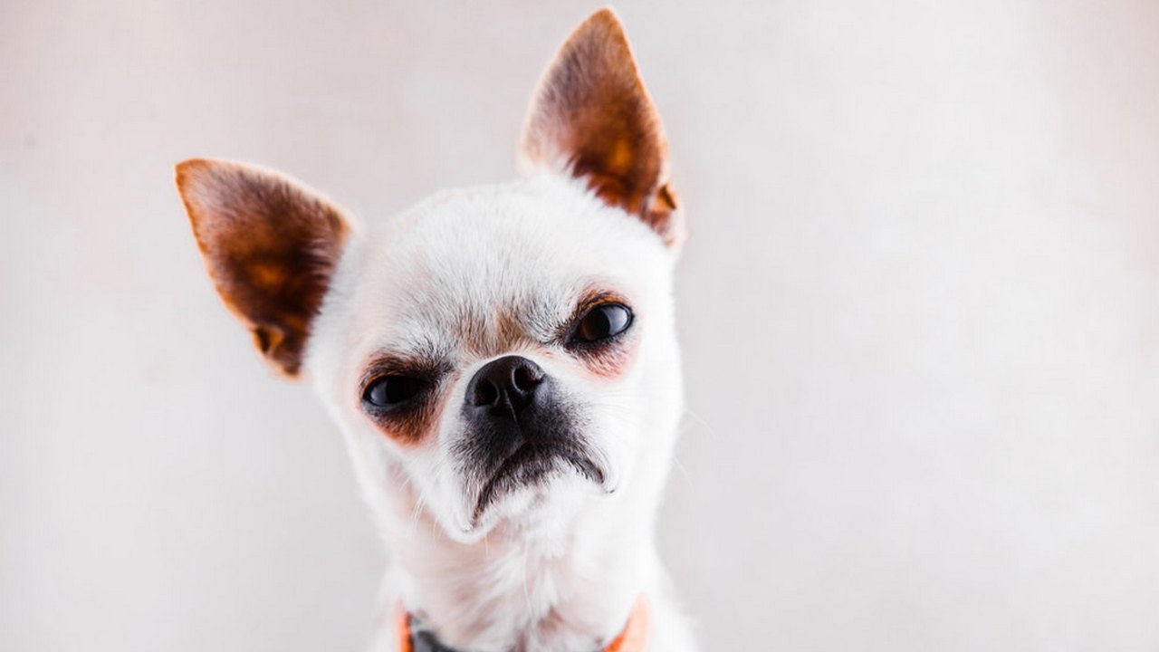 Who you calling a fomite? Image credit: Galina Kovalenko/Shutterstock