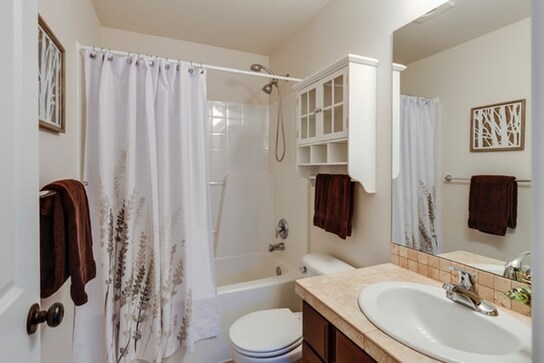 Cool shower curtains for your bathroom Cool shower curtains for your bathroom