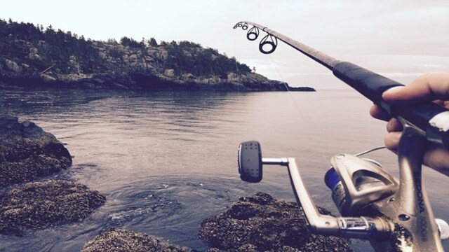 Fishing items that are a must for a good catch Fishing items that are a must for a good catch