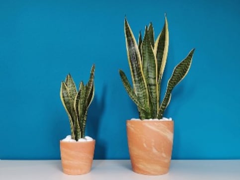 International Women’s Day Part 8: Six healthy gifts for the women in your lives International Women’s Day Part 8: Six healthy gifts for the women in your lives