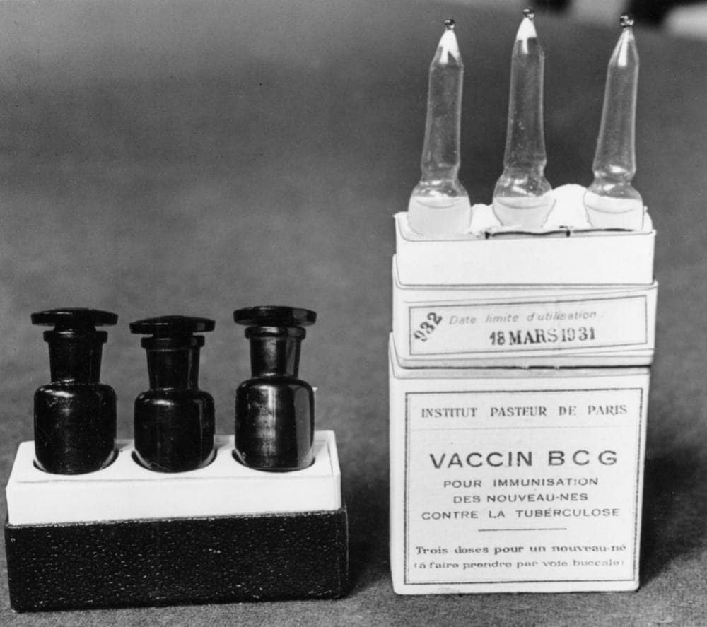 This March 1931 file photo shows ampules of the BCG vaccine against tuberculosis in a laboratory at the Institute Pasteur in Paris, France. Dec. 2, 1947 Image credit: AP Photo/Alfred Eisenstaedt
