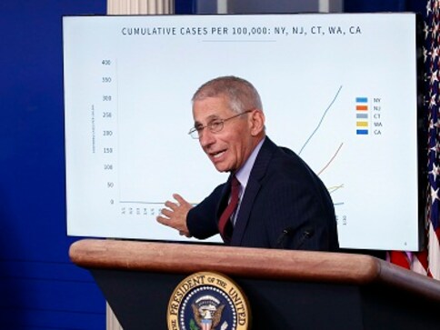 Dr Anthony Fauci, key member of White House's coronavirus task force, gets featured on cupcakes, apparel, candles Dr Anthony Fauci, key member of White House's coronavirus task force, gets featured on cupcakes, apparel, candles