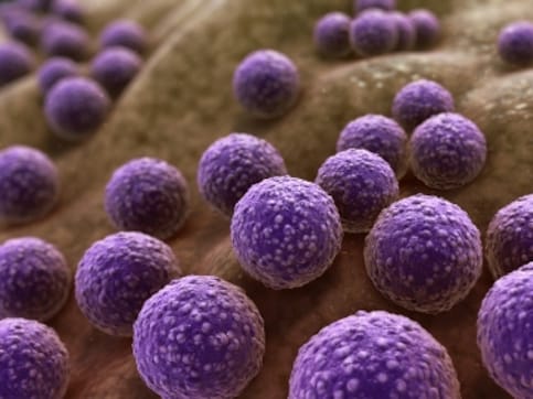 Coronavirus Outbreak: Read an excerpt from Superbugs which outlines the difficulties of making antibiotics Coronavirus Outbreak: Read an excerpt from Superbugs which outlines the difficulties of making antibiotics