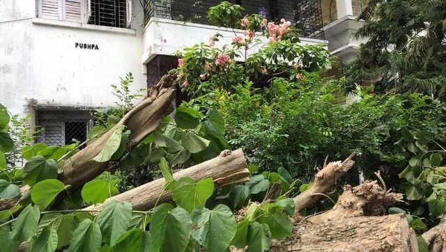 Surviving Cyclone Amphan: Kolkata, a city battling coronavirus, now faces flooded streets, broken buildings and trauma Surviving Cyclone Amphan: Kolkata, a city battling coronavirus, now faces flooded streets, broken buildings and trauma