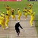 On this day: Australia and South Africa play out thrilling World Cup tie to produce one of the greatest ODIs On this day: Australia and South Africa play out thrilling World Cup tie to produce one of the greatest ODIs