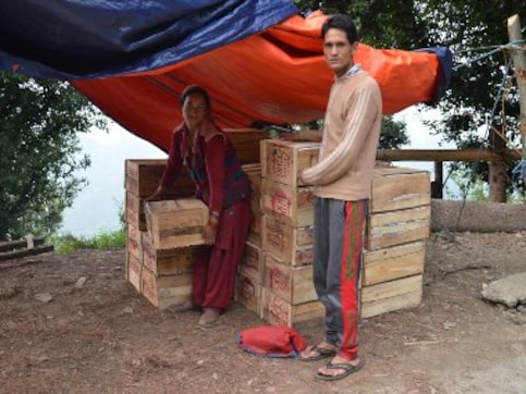 Nepalese migrant labourers working in Himachal Pradesh's apple orchards battle twin crises of strained ties, COVID-19 lockdown Nepalese migrant labourers working in Himachal Pradesh's apple orchards battle twin crises of strained ties, COVID-19 lockdown