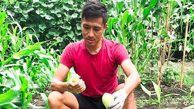 Organic farming keeping former India football captain Gouramangi Singh 'fresh' during lockdown Organic farming keeping former India football captain Gouramangi Singh 'fresh' during lockdown