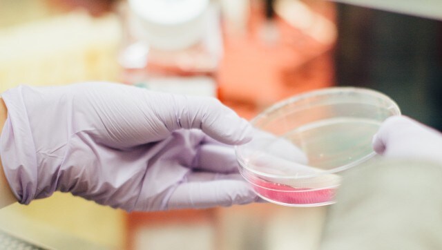 Regeneron begins phase III trials of REGN-COV2; here's how antibody cocktail can help COVID-19 patients