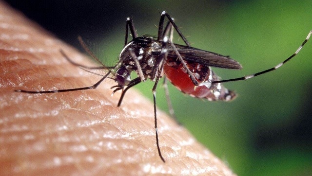 Mosquitoes cannot spread COVID-19, Kansas State University finds after studying three most common vectors species Mosquitoes cannot spread COVID-19, Kansas State University finds after studying three most common vectors species