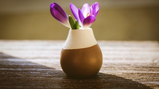 Best flower vases to enhance the beauty of your drawing room Best flower vases to enhance the beauty of your drawing room