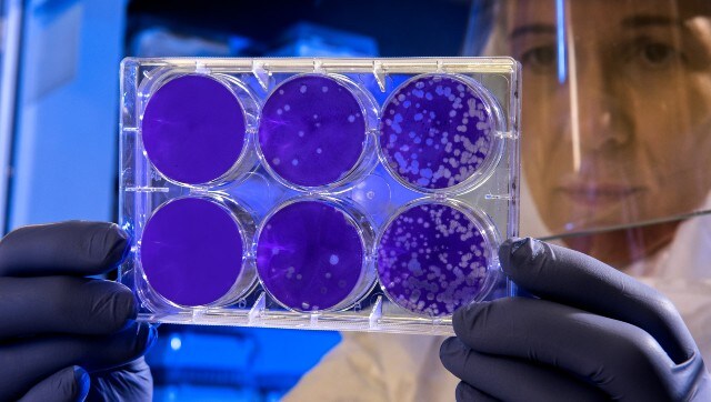 What are antivitamins and how can they help in treatment of antibiotic-resistant bacterial infections What are antivitamins and how can they help in treatment of antibiotic-resistant bacterial infections