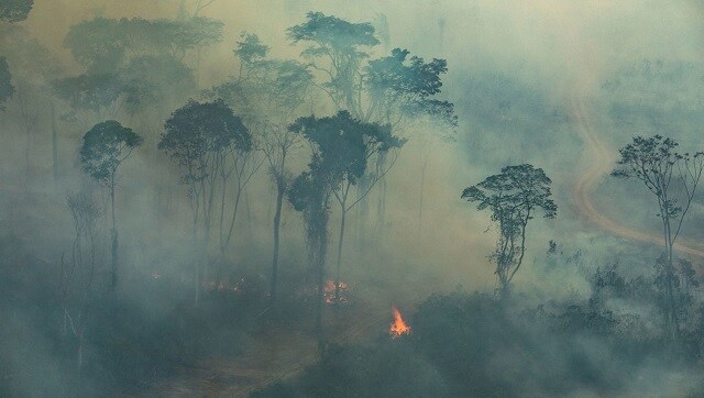 Brazil’s experts raise alarm as Amazon witnesses 28% more fires in July than a year ago Brazil’s experts raise alarm as Amazon witnesses 28% more fires in July than a year ago