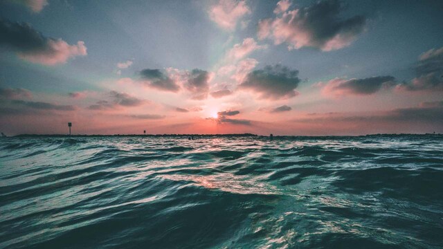 Climate change doubles the number of low-oxygen zones in Danish seas in a year Climate change doubles the number of low-oxygen zones in Danish seas in a year