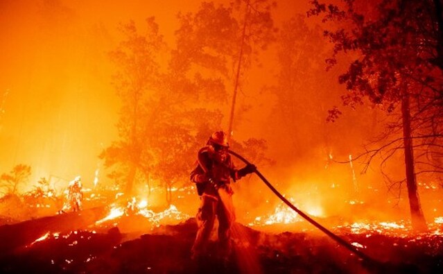 Since the middle of August, fires in California have killed eight people, destroyed more than 3,600 structures, burned old-growth redwoods, charred chaparral, and forced evacuations in communities near the coast, in wine country, and along the Sierra Nevada. AFP Since the middle of August, fires in California have killed eight people, destroyed more than 3,600 structures, burned old-growth redwoods, charred chaparral, and forced evacuations in communities near the coast, in wine country, and along the Sierra Nevada. AFP