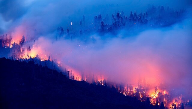 Wildfires burn record 2 million acres in California; 14,000 firefighters pressed into service in San Francisco Bay area Wildfires burn record 2 million acres in California; 14,000 firefighters pressed into service in San Francisco Bay area