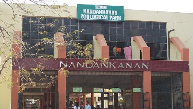 Amid COVID-19 pandemic, Nandankanan Zoological Park launches virtual tour facility at nandankanan.org Amid COVID-19 pandemic, Nandankanan Zoological Park launches virtual tour facility at nandankanan.org