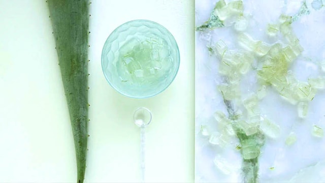 Top aloe vera gels for skin benefits Top aloe vera gels for skin benefits