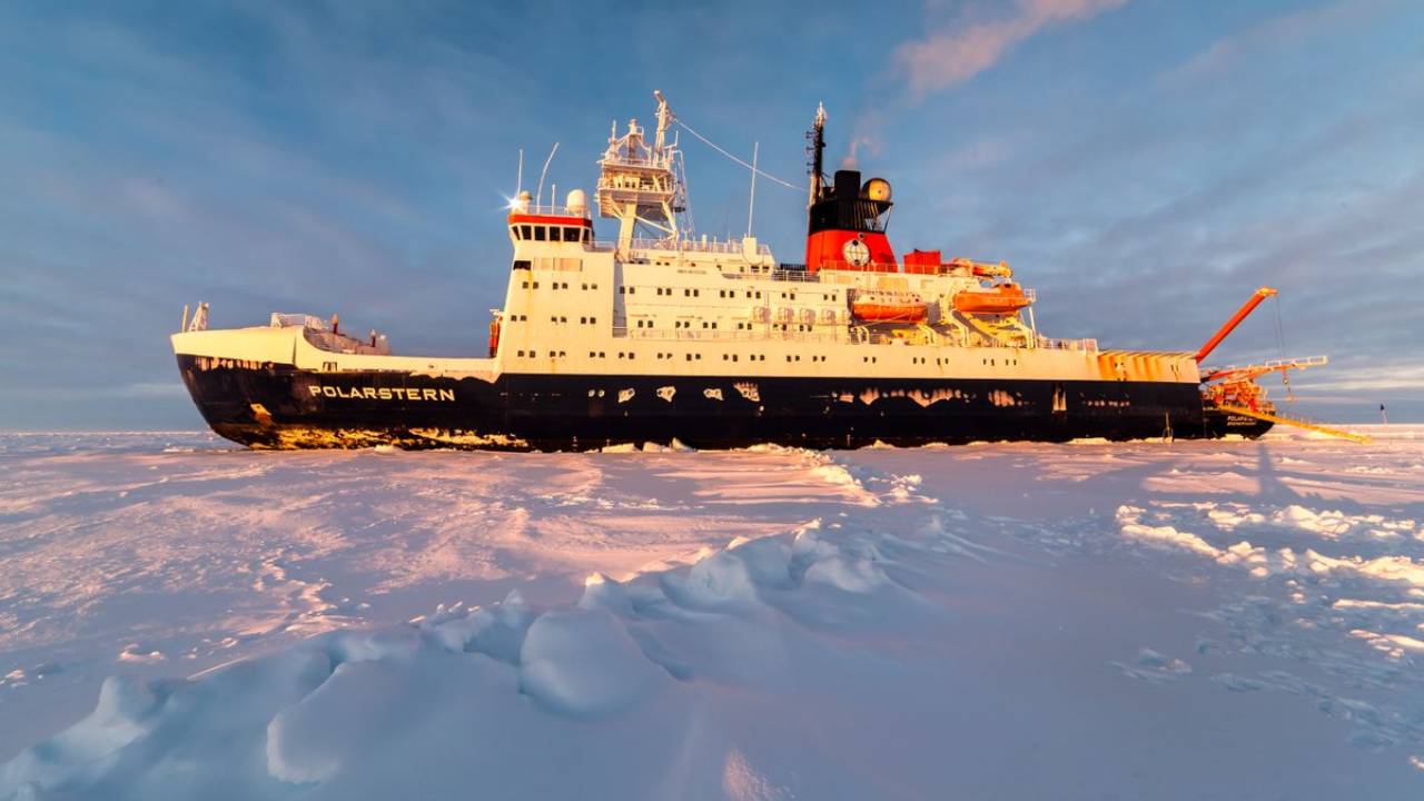 Biggest-ever Arctic science mission ends after a year drifting along with frozen sea ice