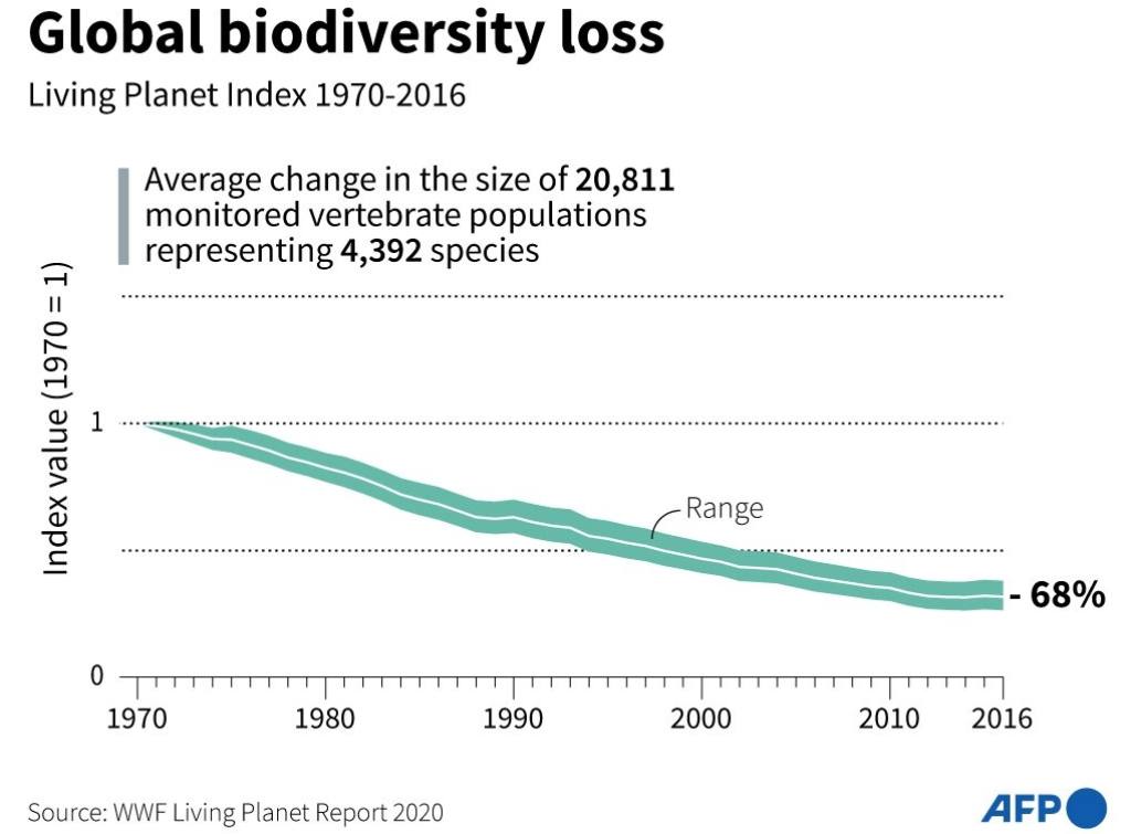 2020 targets under the 195-nation Convention on Biological Diversity to protect and restore Nature—including a slowdown in habitat loss. The scores of these targets have all been missed – in some cases, by a lot. Image Courtesy: AFP/WWF