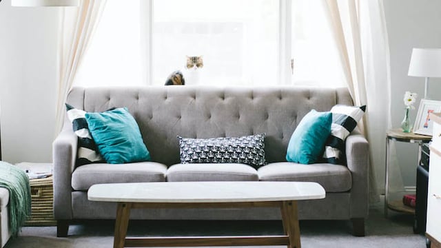 Best sofa covers for your living room Best sofa covers for your living room