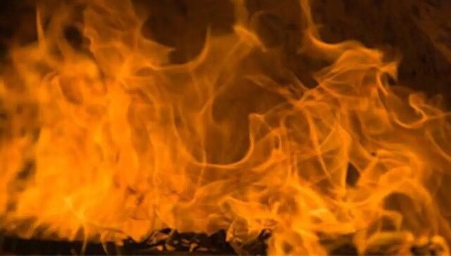 Three COVID-19 patients killed in fire at Rajkot hospital; 30 others rescued