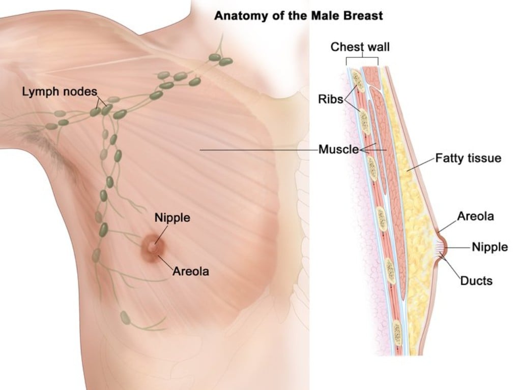 Breast Cancer Month: Men succumb to breast cancer too; everything you need to know