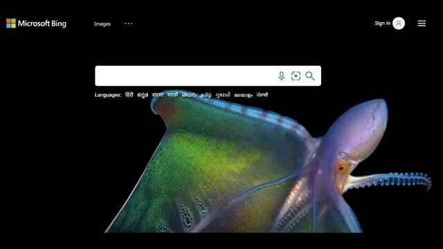 Microsoft's in-hourse search engine Bing has been rebranded as Microsoft Bing Microsoft's in-hourse search engine Bing has been rebranded as Microsoft Bing