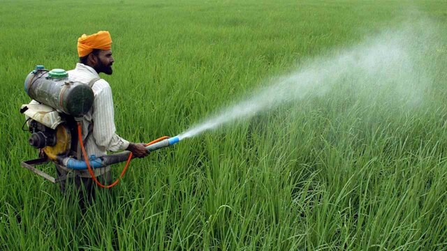 Organochlorine substances like DDT thought to have triggered mysterious death, mass infection in Andhra Pradesh Organochlorine substances like DDT thought to have triggered mysterious death, mass infection in Andhra Pradesh