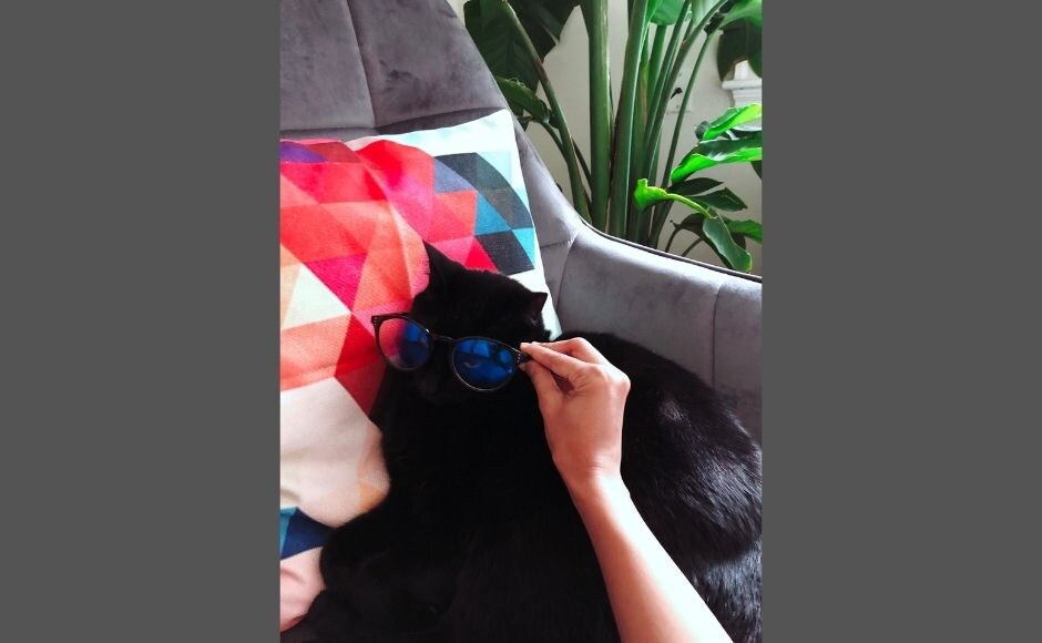 "My flatmate’s cat Binx is my 2020 hero. Binx loves to play with ribbons, find cosy spots to sleep and inspire people to chill and take it easy. I love it when he runs to meet you at the door as you get back home. I forgot to set the morning alarm on a workday and woke up only because he was jumping at my door wondering how come I was not up yet! He is also a constant reminder of keeping an open mind and not setting too much store by superstitions. Anything can happen if only we let the world surprise us." — NEETHI JAYACHANDRAN "My flatmate’s cat Binx is my 2020 hero. Binx loves to play with ribbons, find cosy spots to sleep and inspire people to chill and take it easy. I love it when he runs to meet you at the door as you get back home. I forgot to set the morning alarm on a workday and woke up only because he was jumping at my door wondering how come I was not up yet! He is also a constant reminder of keeping an open mind and not setting too much store by superstitions. Anything can happen if only we let the world surprise us." — NEETHI JAYACHANDRAN