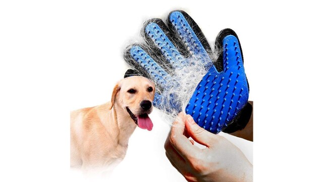 Top pet grooming tools you should try Top pet grooming tools you should try
