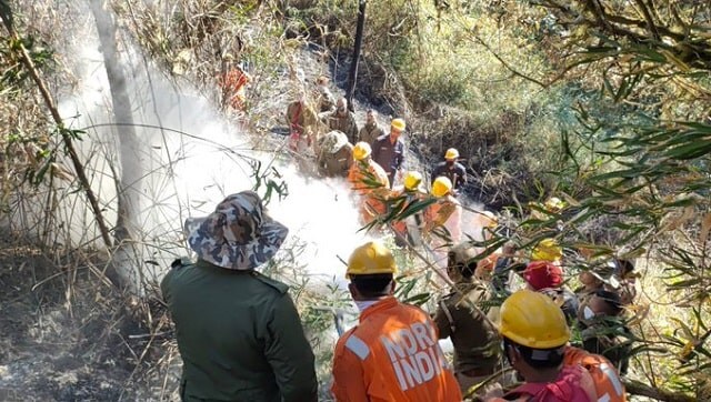 Forest fire in Nagaland's Dzukou valley increasing its magnitude, says NDRF