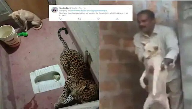 Dog gets trapped inside toilet with leopard for several hours in Karnataka's Bilinele village, emerges unscathed Dog gets trapped inside toilet with leopard for several hours in Karnataka's Bilinele village, emerges unscathed