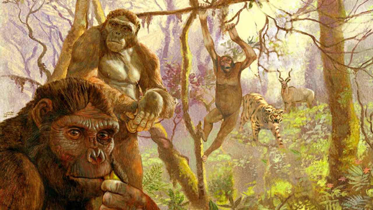  Human ancestor Ardi may have swung from trees like chimps till 4.4 mn years ago