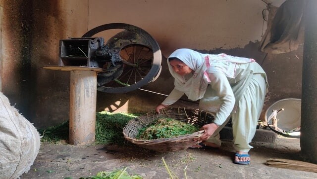 With most of their kin protesting in Delhi, Haryana farmers, particularly women, keep farms running, livelihoods alive