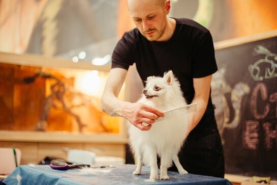 Best grooming kits for pets Best grooming kits for pets