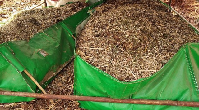 Need for dedicated technology to lack of market support: Why novel ideas like turning a city’s waste to manure fail