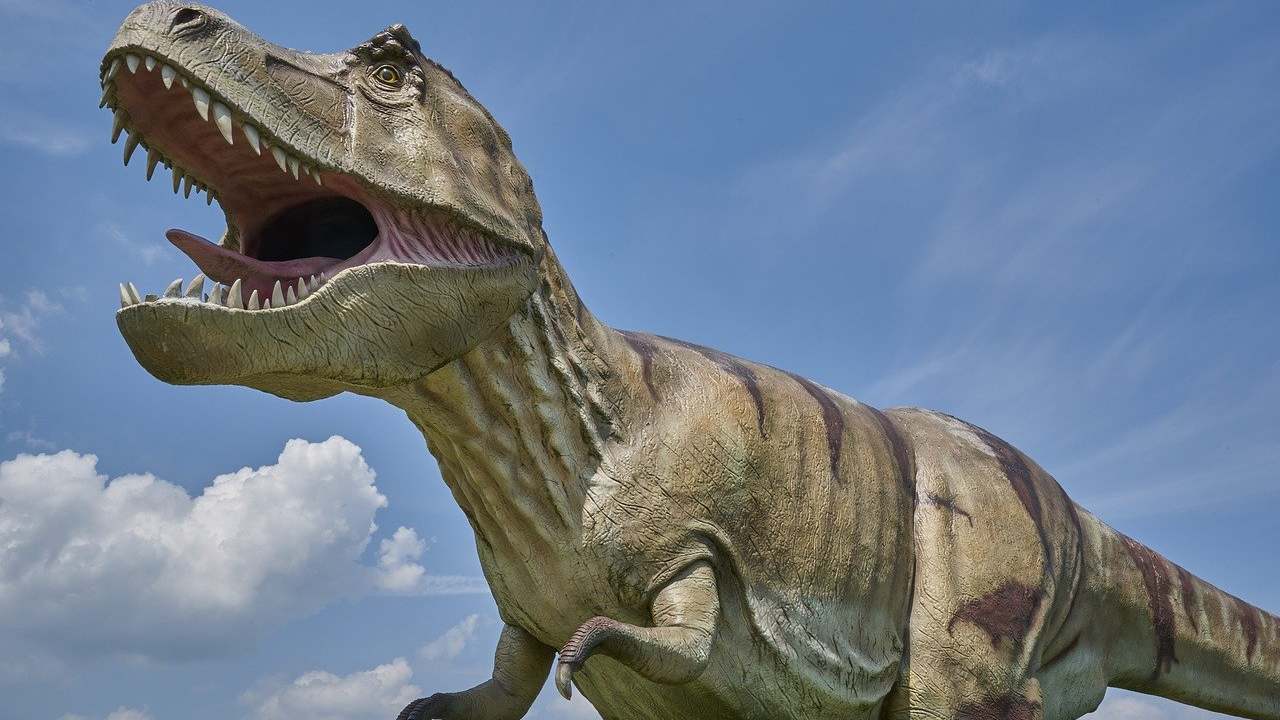  Teen angst? T-Rex, other large dinosaurs out-competed smaller rival species, study finds