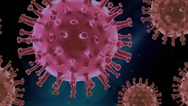 World is in need of a universal coronavirus vaccine, warn scientists