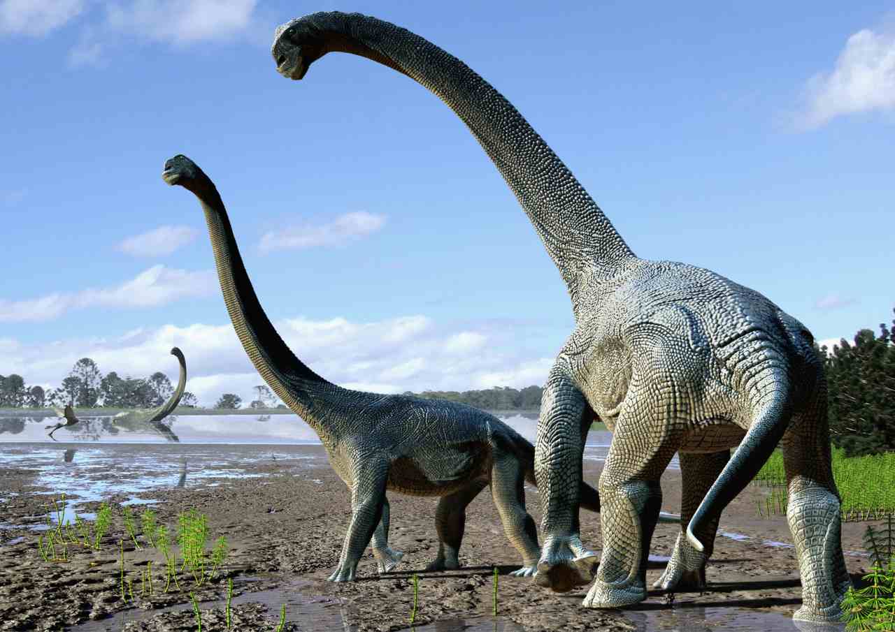  Remains of massive plant-eating lizard likely the largest sauropod fossil ever found