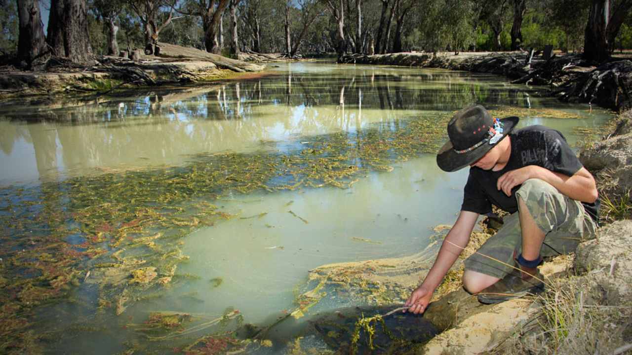 Murray–Darling Basin in Australia provides Adelaide with 50 percent of its drinking water along with other cities. Most of its pollution problem include septic leakage from houses, contaminated stormwater runoff and sand dumping. Image credit: Murray–Darling Basin Authority