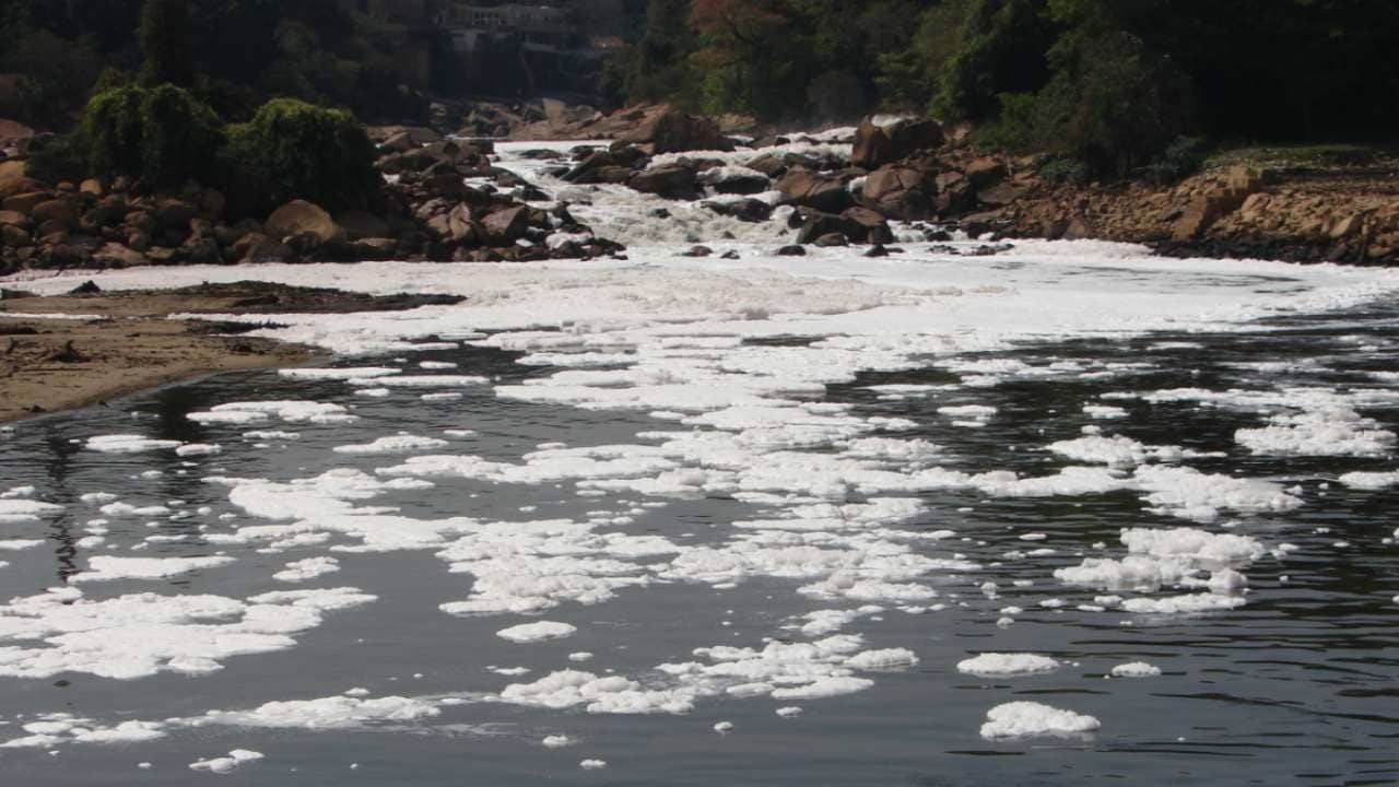 Tiete river in Sao Paulo, Brazil runs 1,150 km long and Pinheiros is its most contaminated tributary. While most of the river is polluted due to domestic causes, various efforts are on to clean it up. Image credit: Eurico Zimbres/Wikipedia