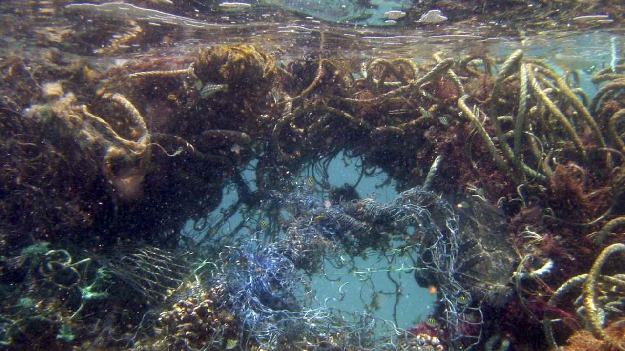 The Pacific Ocean has two garbage patches and is the most polluted ocean in the world. It has an est two trillion plastic pieces polluting its waters. Image credit: Ray Boland/NOAA