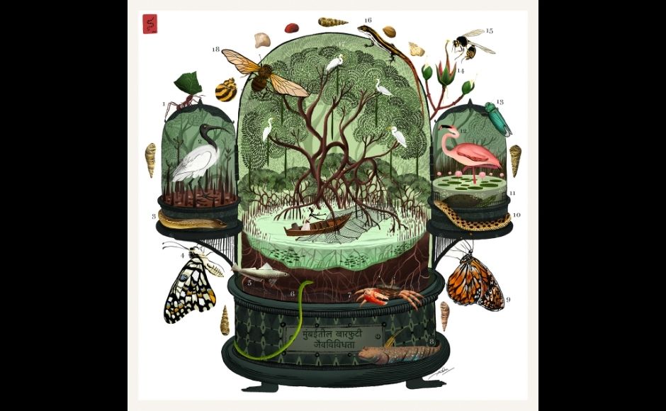 Svabhu Kohli, a visual storyteller who focuses on the intersection of magical realism, conservation and art has created a ‘Cabinet of Curiosity’. Through this, Svabhu highlights the astonishing biodiversity the mangrove forests hold within their entangled roots and mysterious canopies.