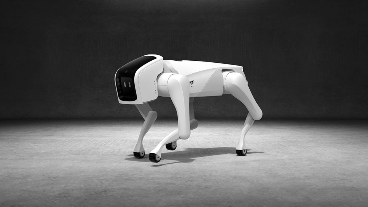  The ulti-mutt pet? Chinese tech company develops robot dogs that uses AI to hear and see